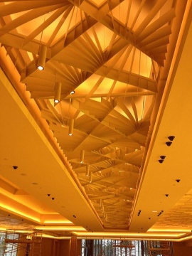 Plaster Board Bulk Heads and Architectural Design Fin Ceiling